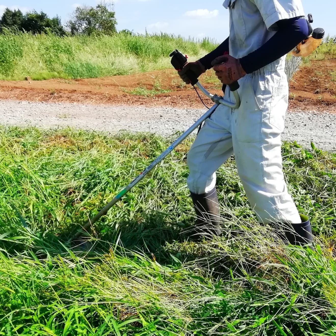 草刈り 尾張旭市 | 尾張旭市で草刈りならお庭の窓口尾張旭市