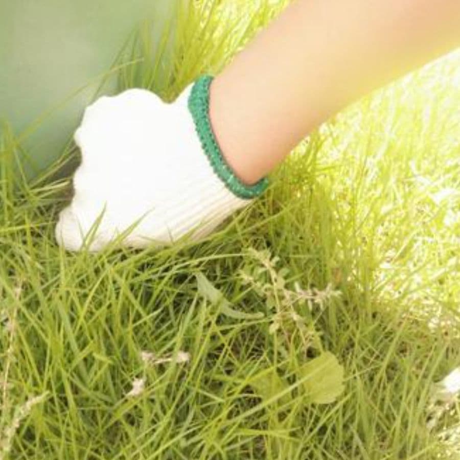 草取り 尾張旭市 | 尾張旭市で草取りならお庭の窓口尾張旭市