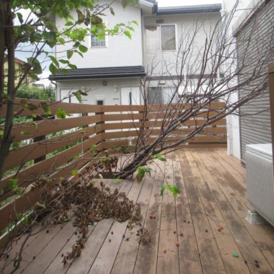 倒木撤去 尾張旭市 | 尾張旭市で庭木の倒木撤去ならお庭の窓口尾張旭市