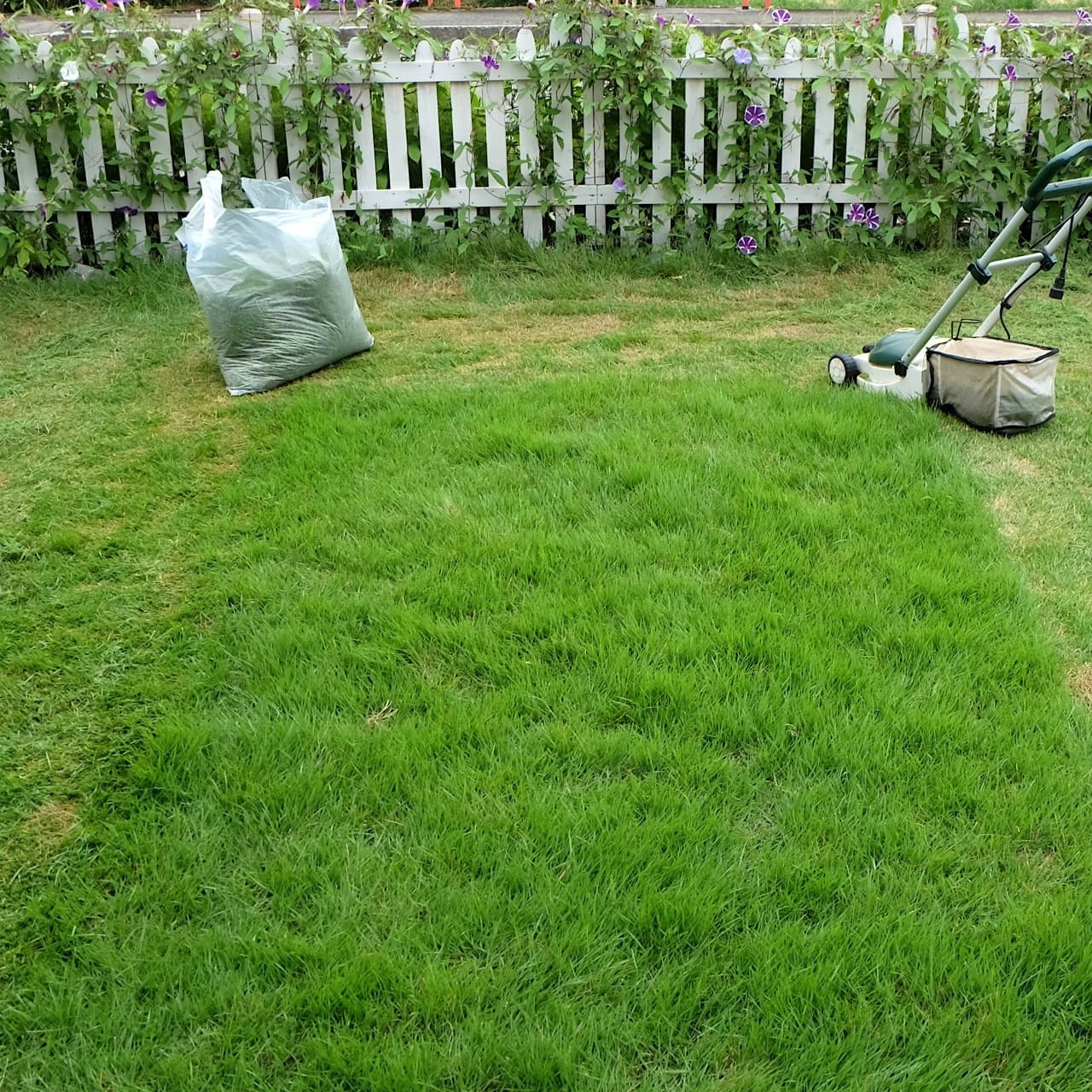 芝生の手入れ 尾張旭市 | 尾張旭市で芝生の手入れならお庭の窓口尾張旭市