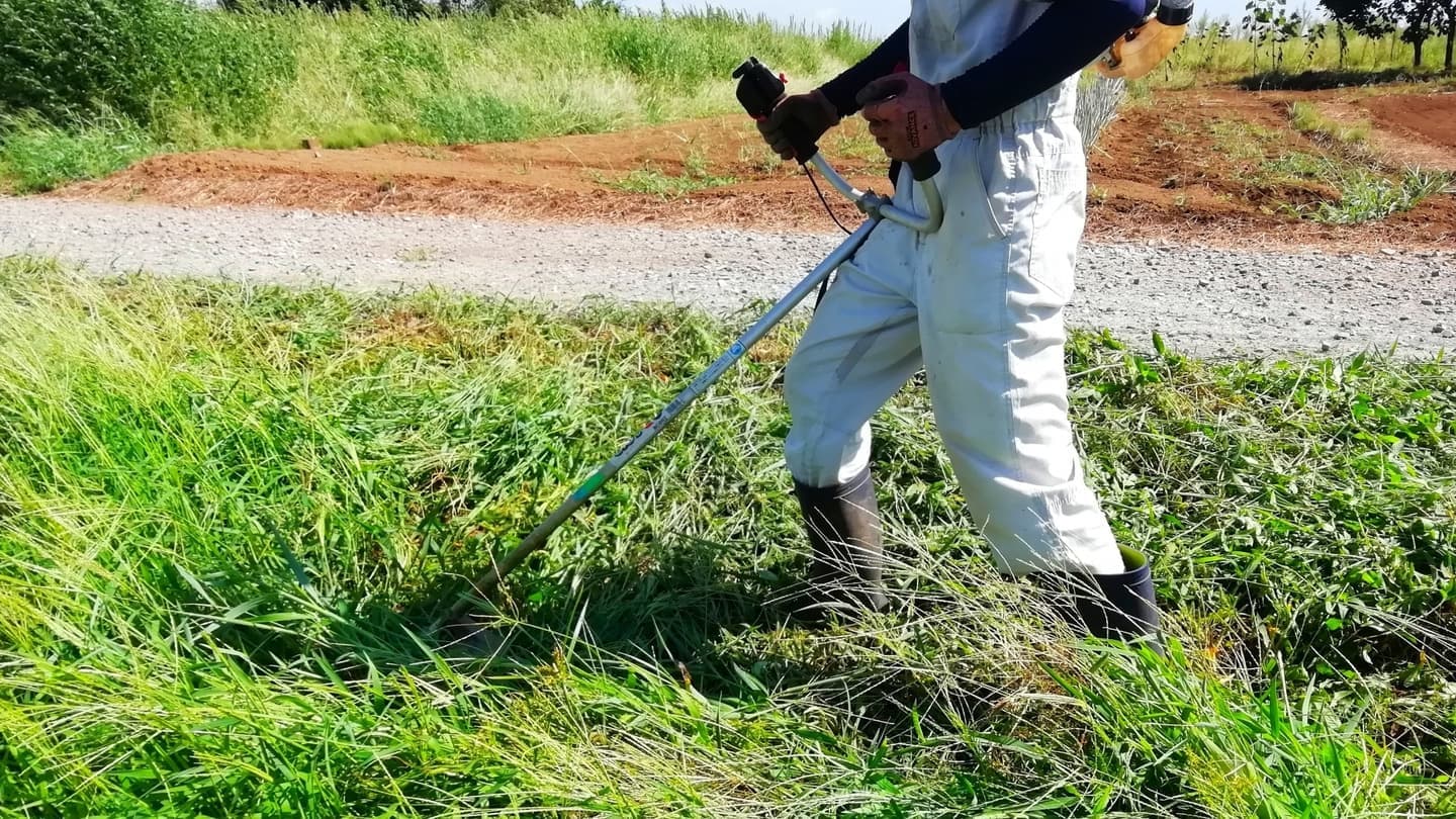 草刈り 尾張旭市 | 尾張旭市で草刈りならお庭の窓口尾張旭市