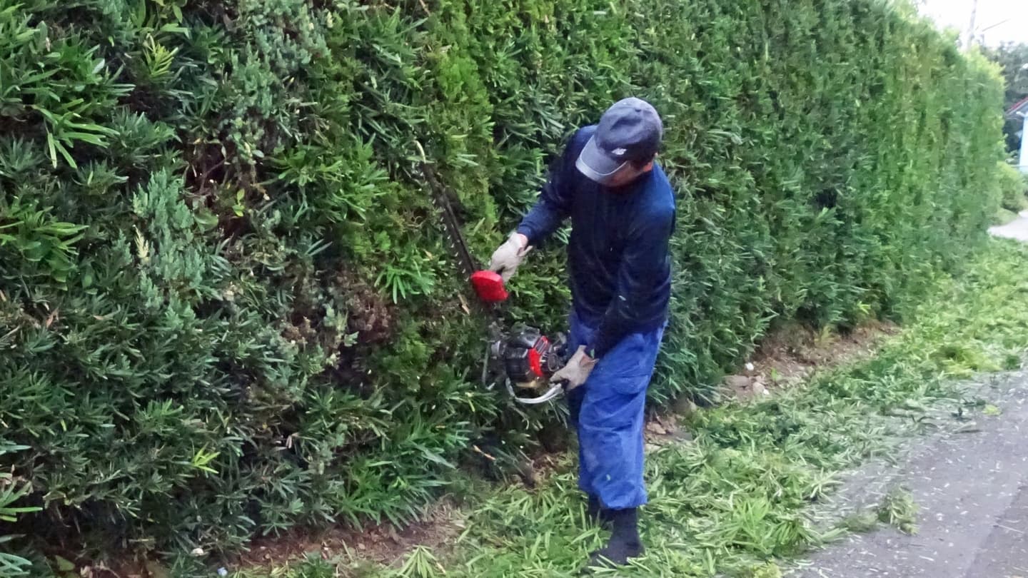 生垣剪定 尾張旭市 | 尾張旭市で生垣剪定ならお庭の窓口尾張旭市