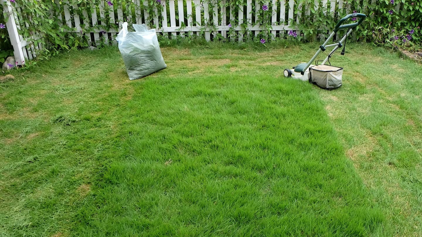 芝生の手入れ 尾張旭市 | 尾張旭市で芝生の手入れならお庭の窓口尾張旭市