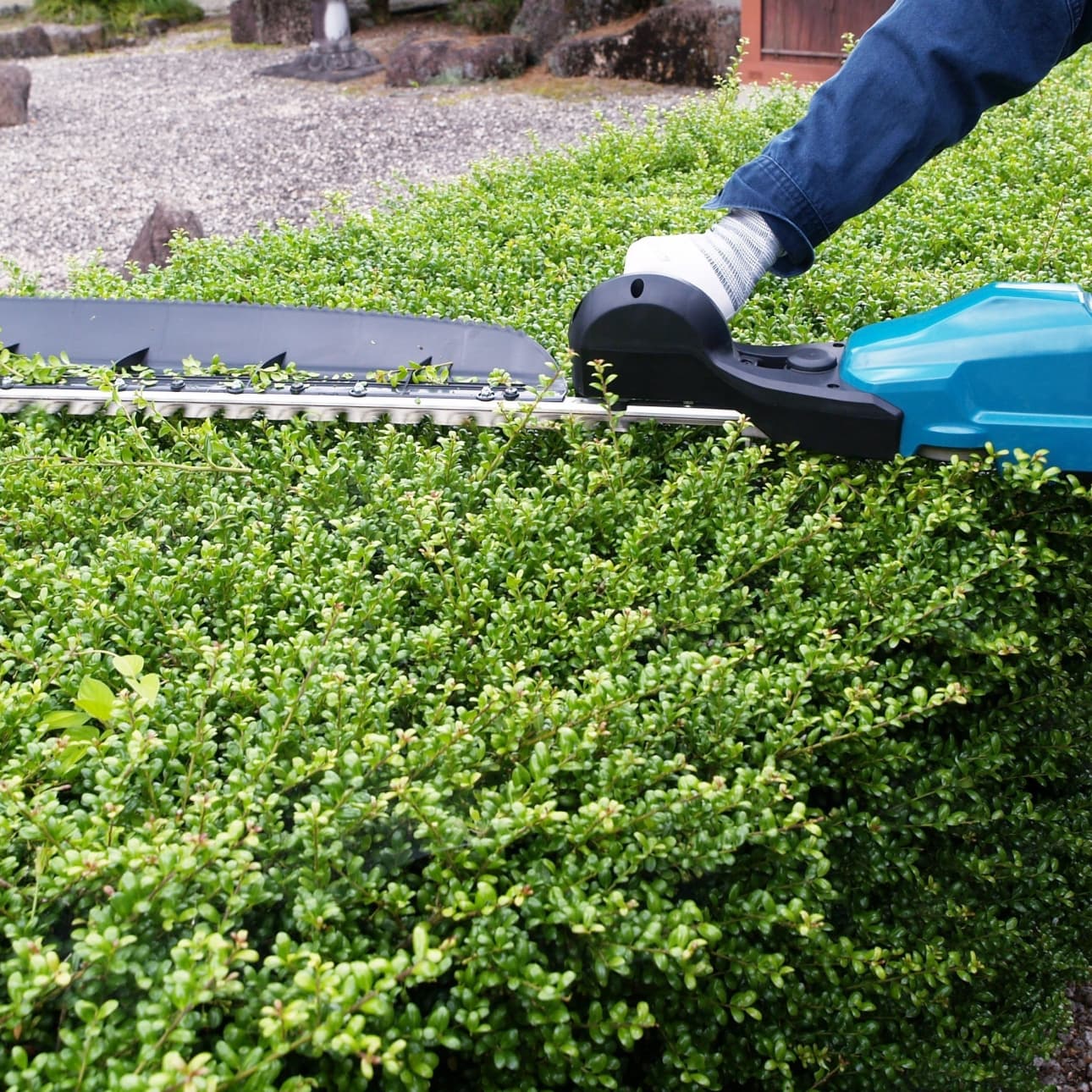 植込み剪定 尾張旭市 | 尾張旭市で庭木の植込み剪定ならお庭の窓口尾張旭市