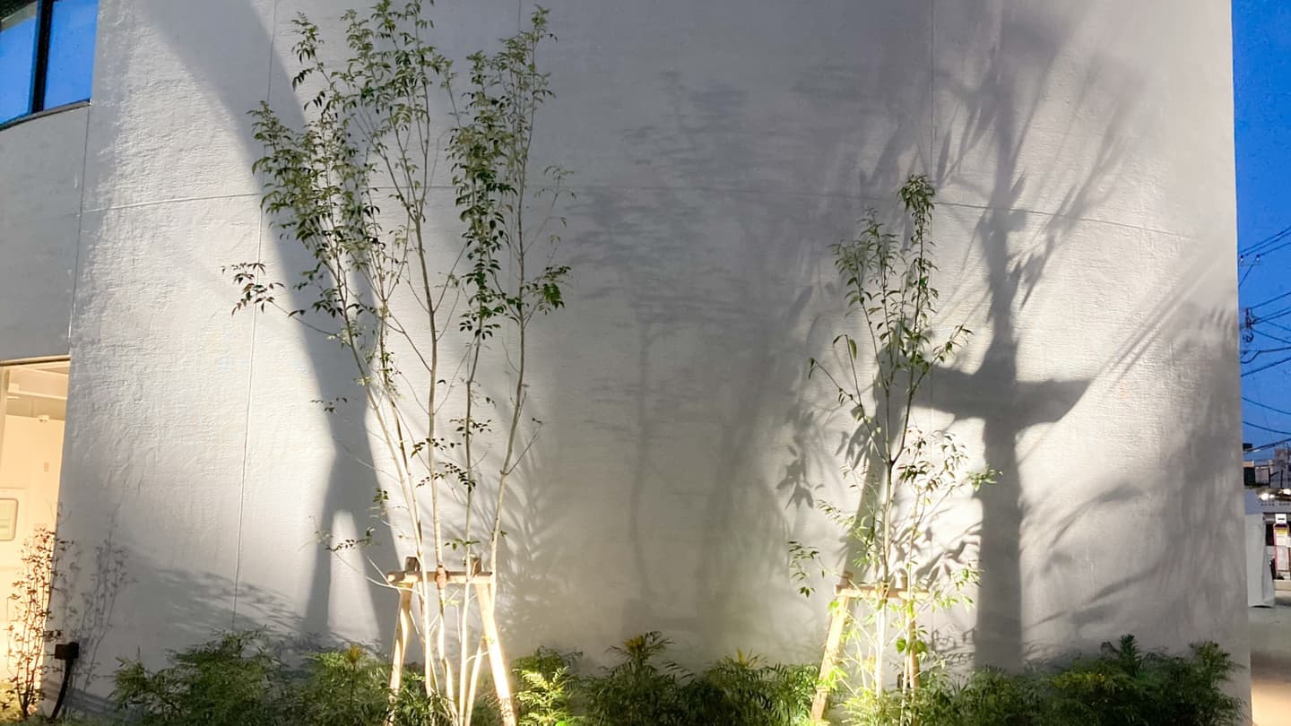 庭木の植栽 尾張旭市 | 尾張旭市で庭木の植栽ならお庭の窓口尾張旭市