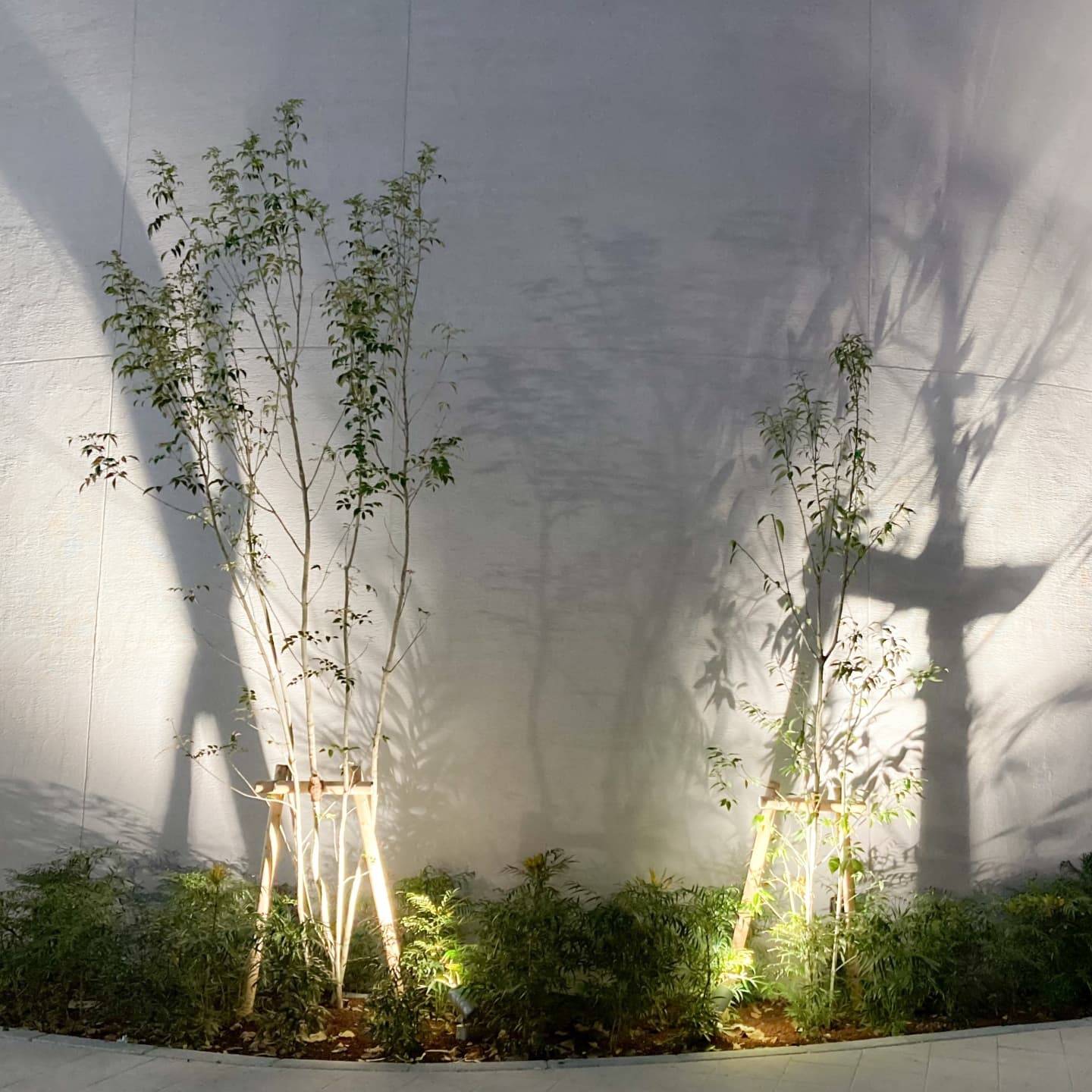 庭木の植栽 尾張旭市 | 尾張旭市で庭木の植栽ならお庭の窓口尾張旭市