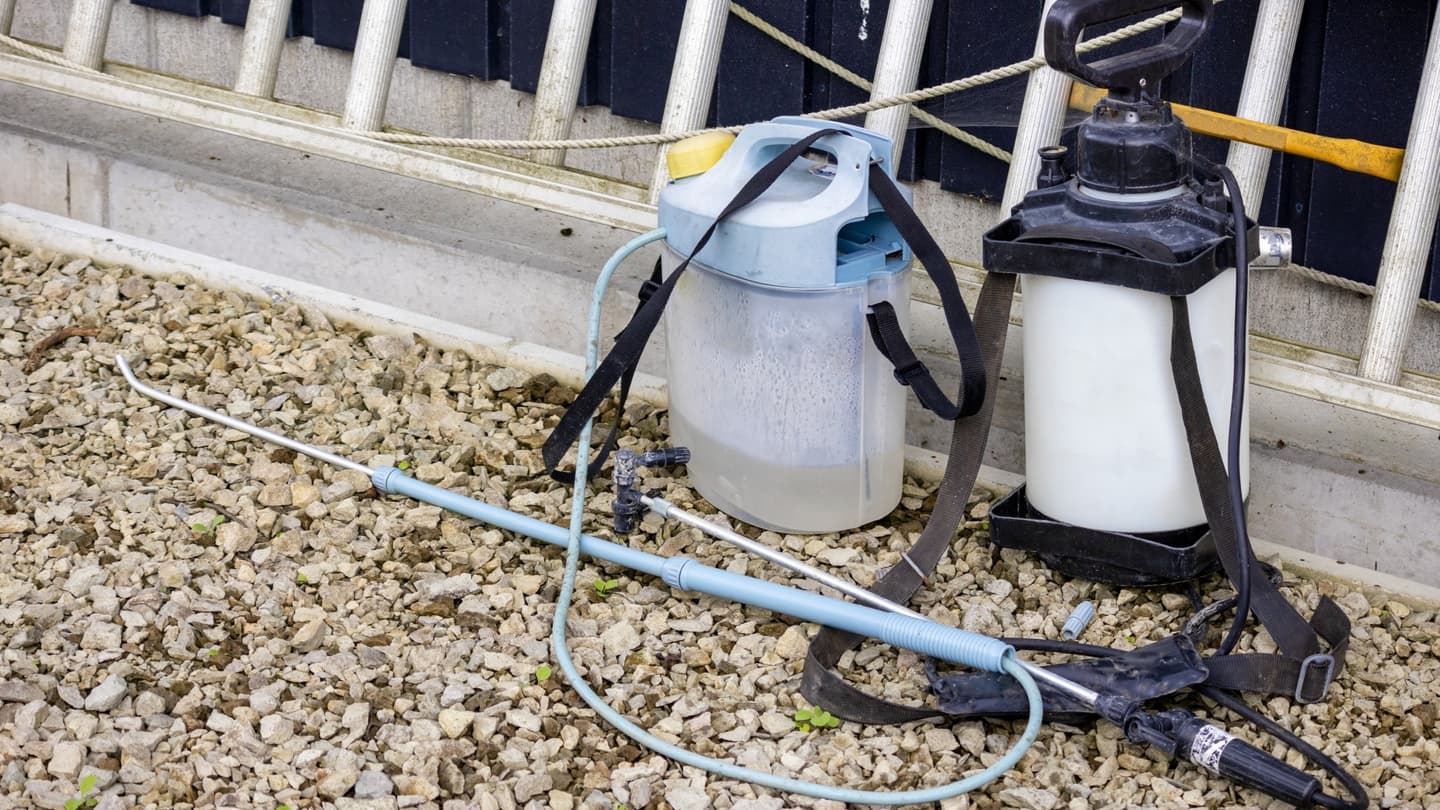 庭木の消毒・害虫対策 尾張旭市 | 尾張旭市で庭木の消毒・害虫対策ならお庭の窓口尾張旭市